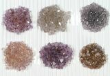 Lot: Amethyst Crystals Rosettes - Pieces #82598-2